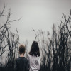 test 1